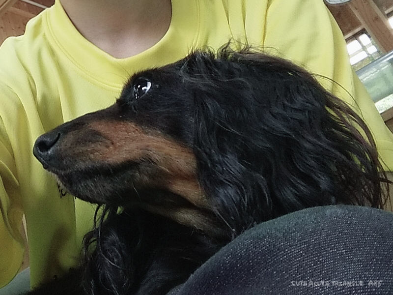 f:id:a200v:20211110183125j:plain