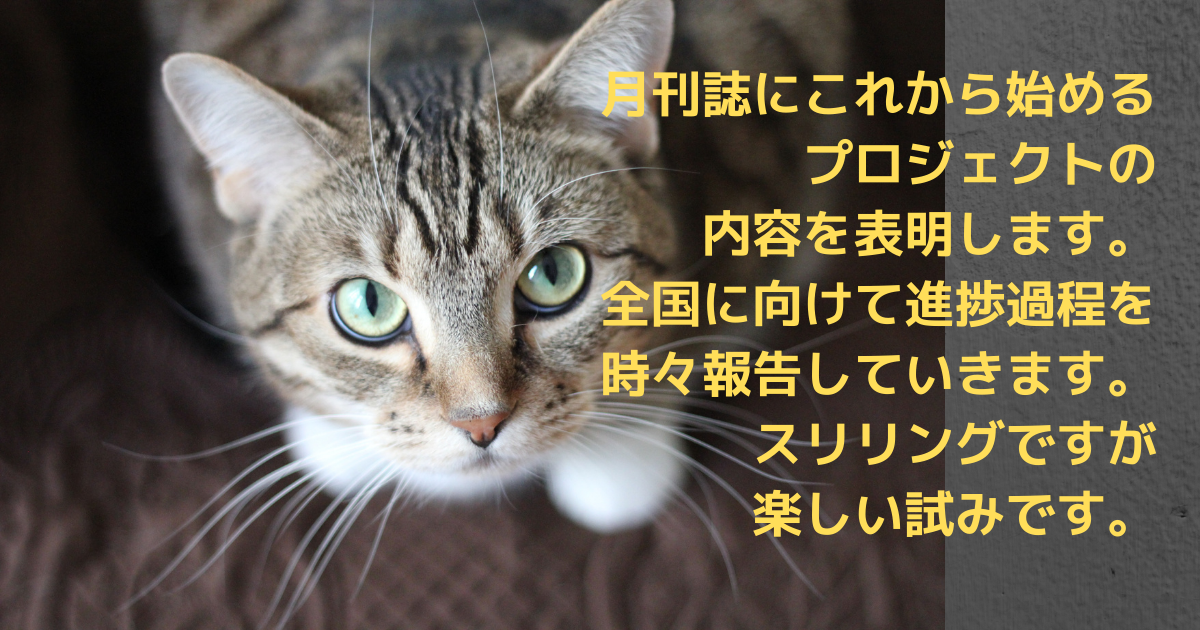 f:id:a2011:20210418081131p:plain