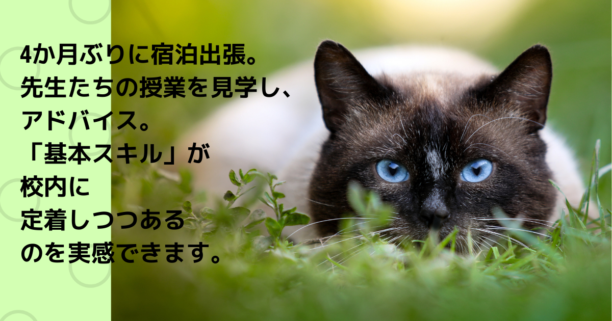 f:id:a2011:20210421061533p:plain