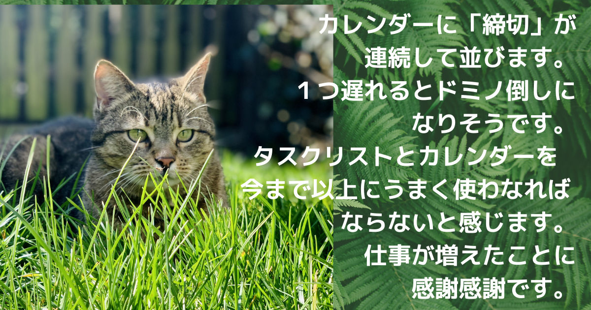 f:id:a2011:20210516060034p:plain