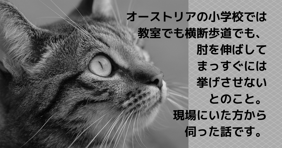 ヒトラーとは 社会の人気 最新記事を集めました はてな