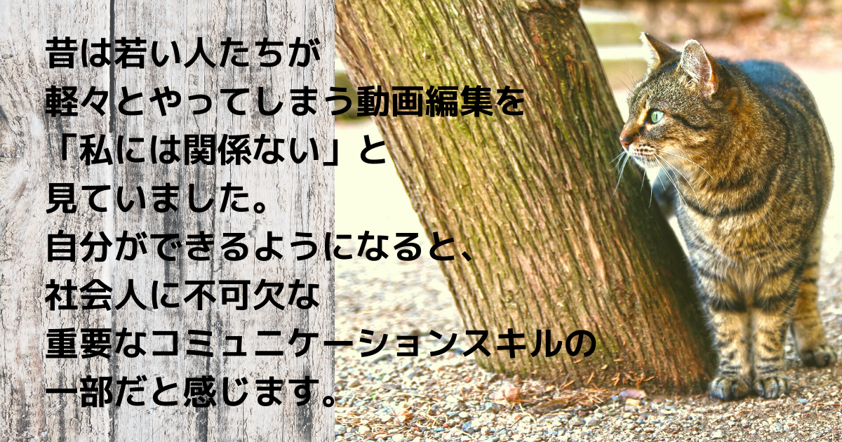 f:id:a2011:20210620054813p:plain