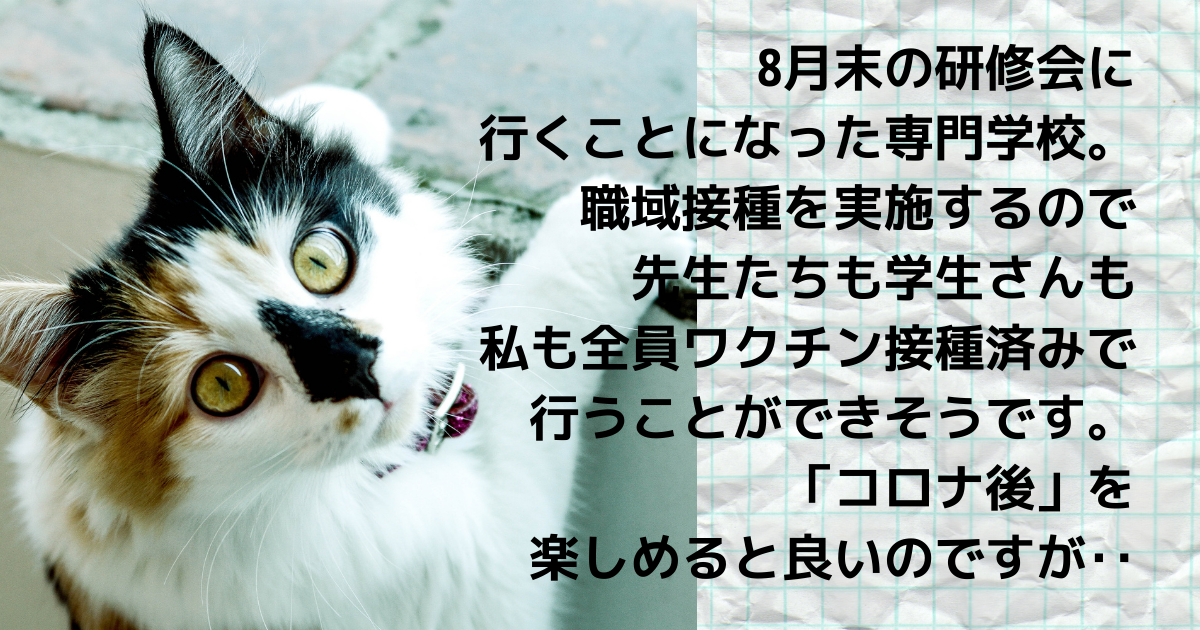 f:id:a2011:20210623055637p:plain