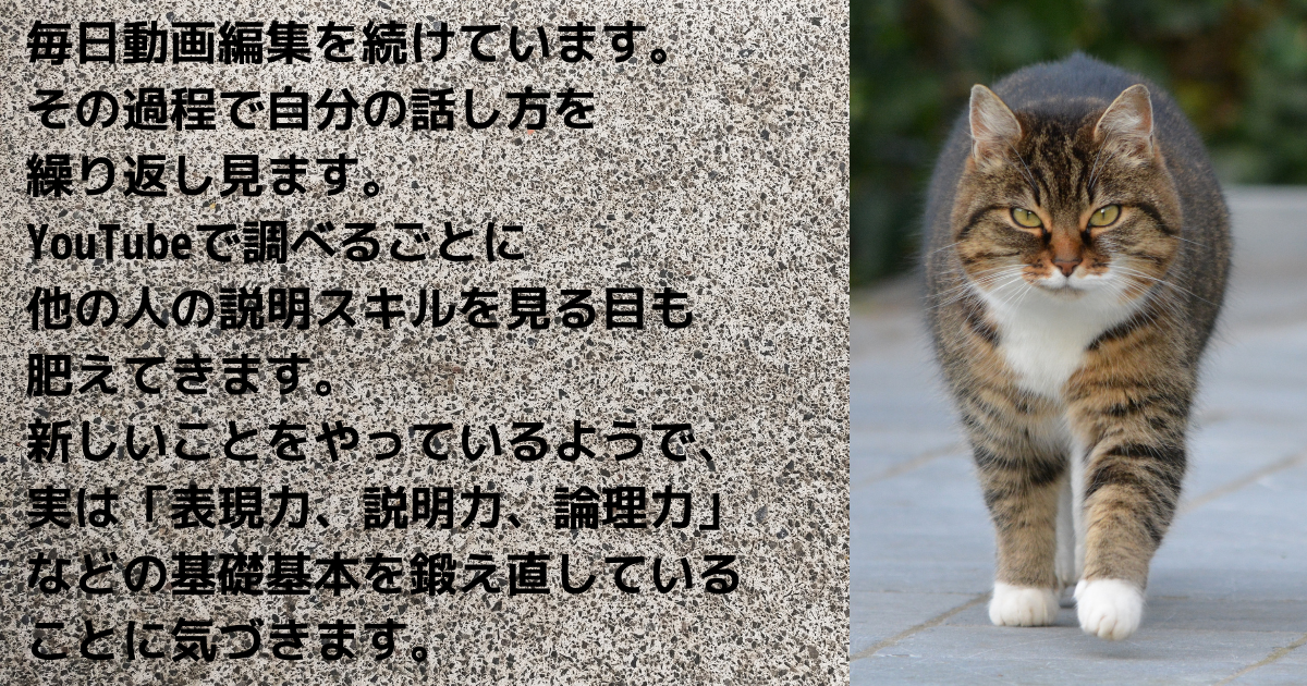 f:id:a2011:20210816083555p:plain
