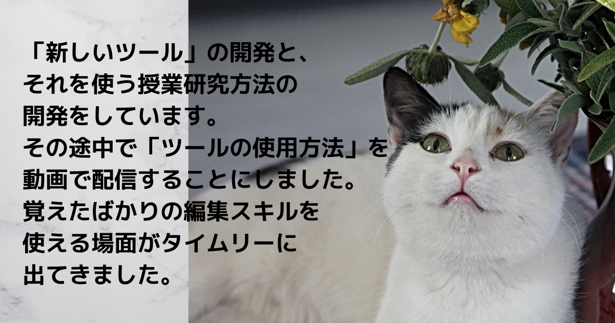 f:id:a2011:20210820080838p:plain