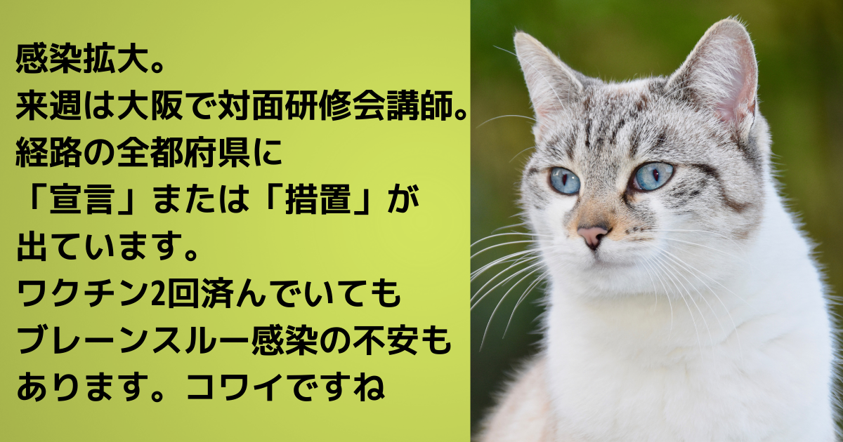 f:id:a2011:20210821074547p:plain