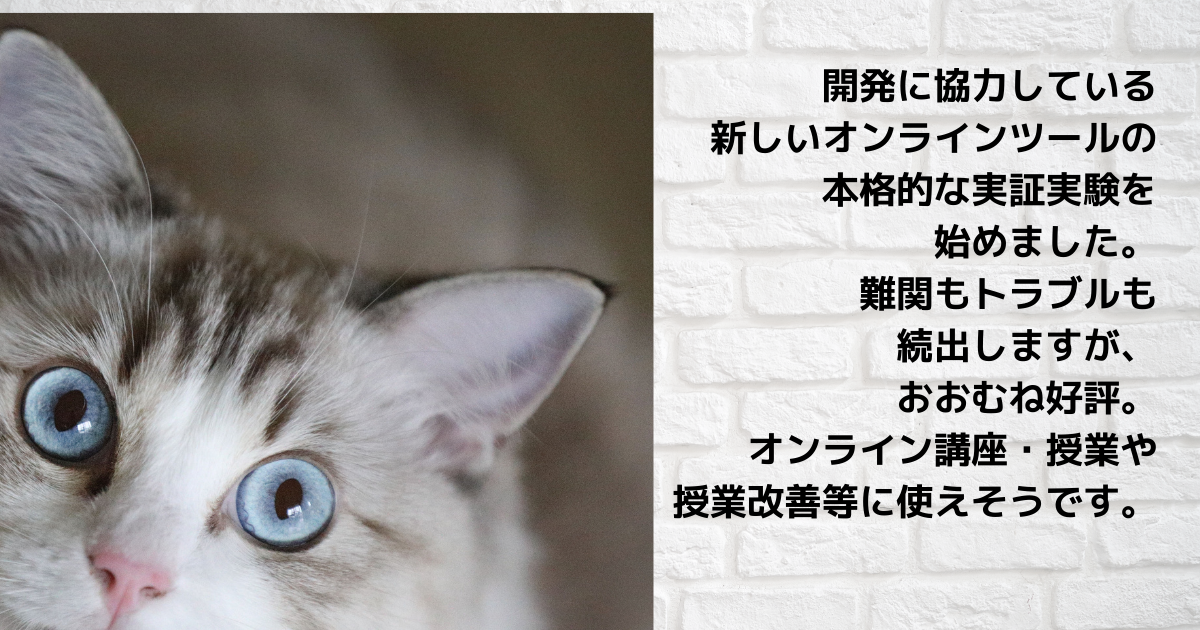 f:id:a2011:20210906081124p:plain