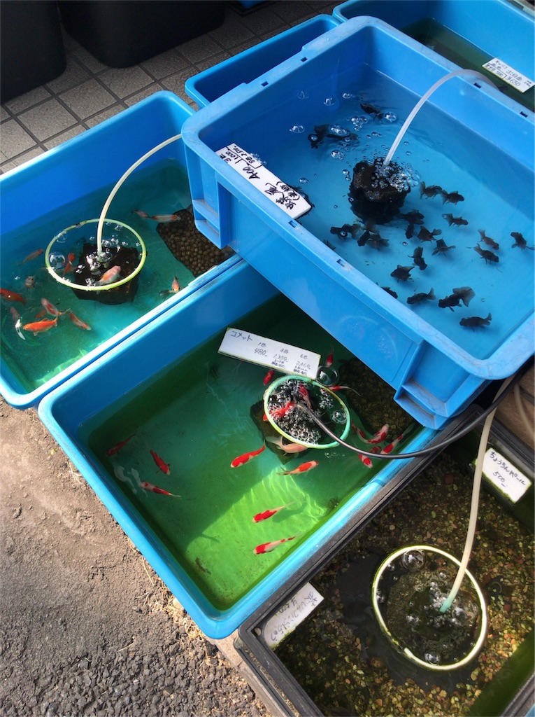 f:id:a24figaro:20190422123013j:image