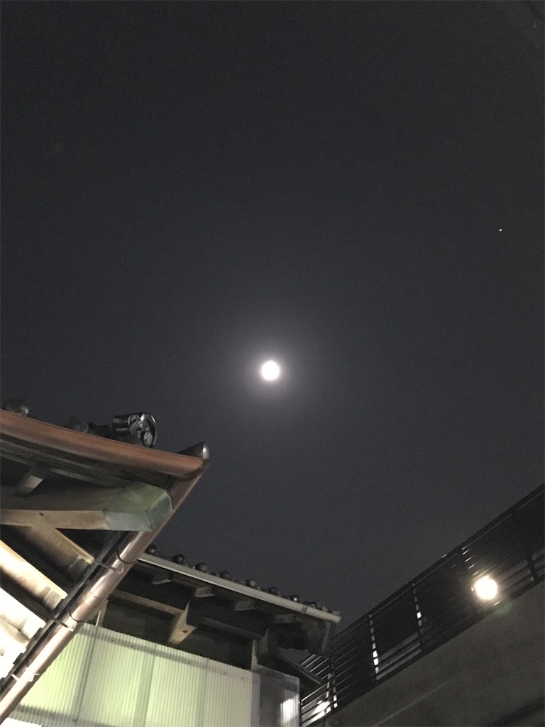 f:id:a24figaro:20201106110406j:image