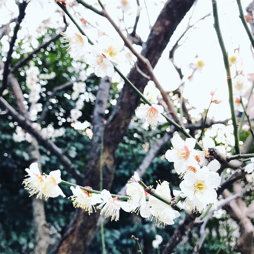 f:id:a24figaro:20210221124559j:image