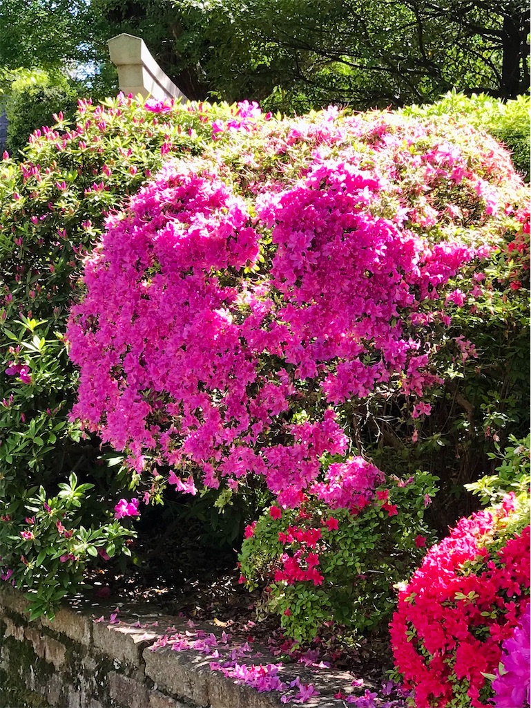 f:id:a24figaro:20210518203329j:image