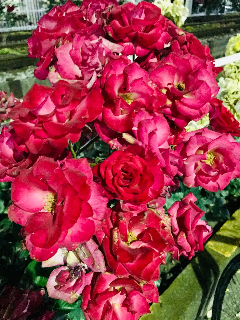 f:id:a24figaro:20210530192404j:image f:id:a24figaro:20210530192404j:image