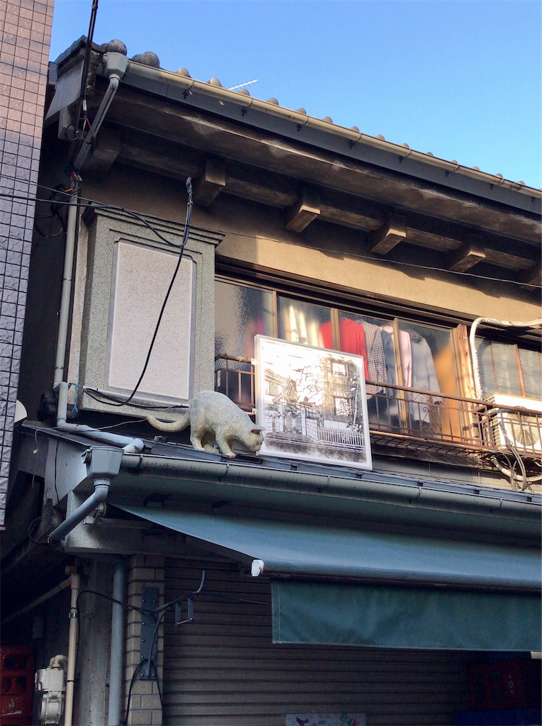 f:id:a24figaro:20211206125540j:image f:id:a24figaro:20211206125540j:image