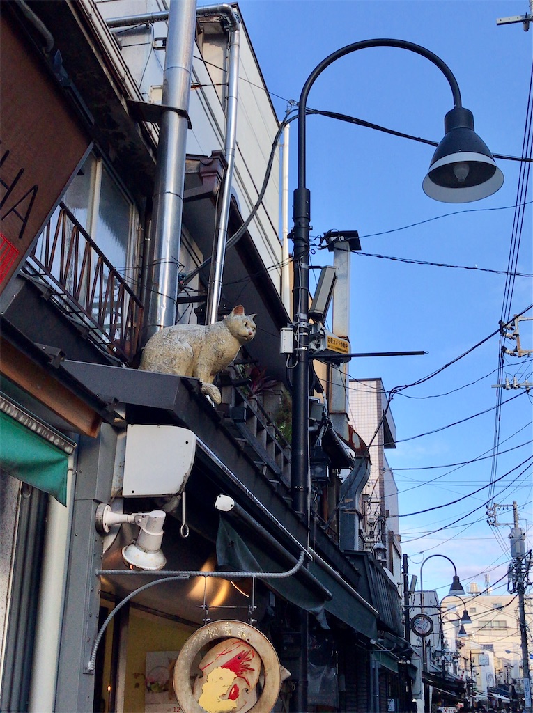 f:id:a24figaro:20211206125542j:image f:id:a24figaro:20211206125542j:image