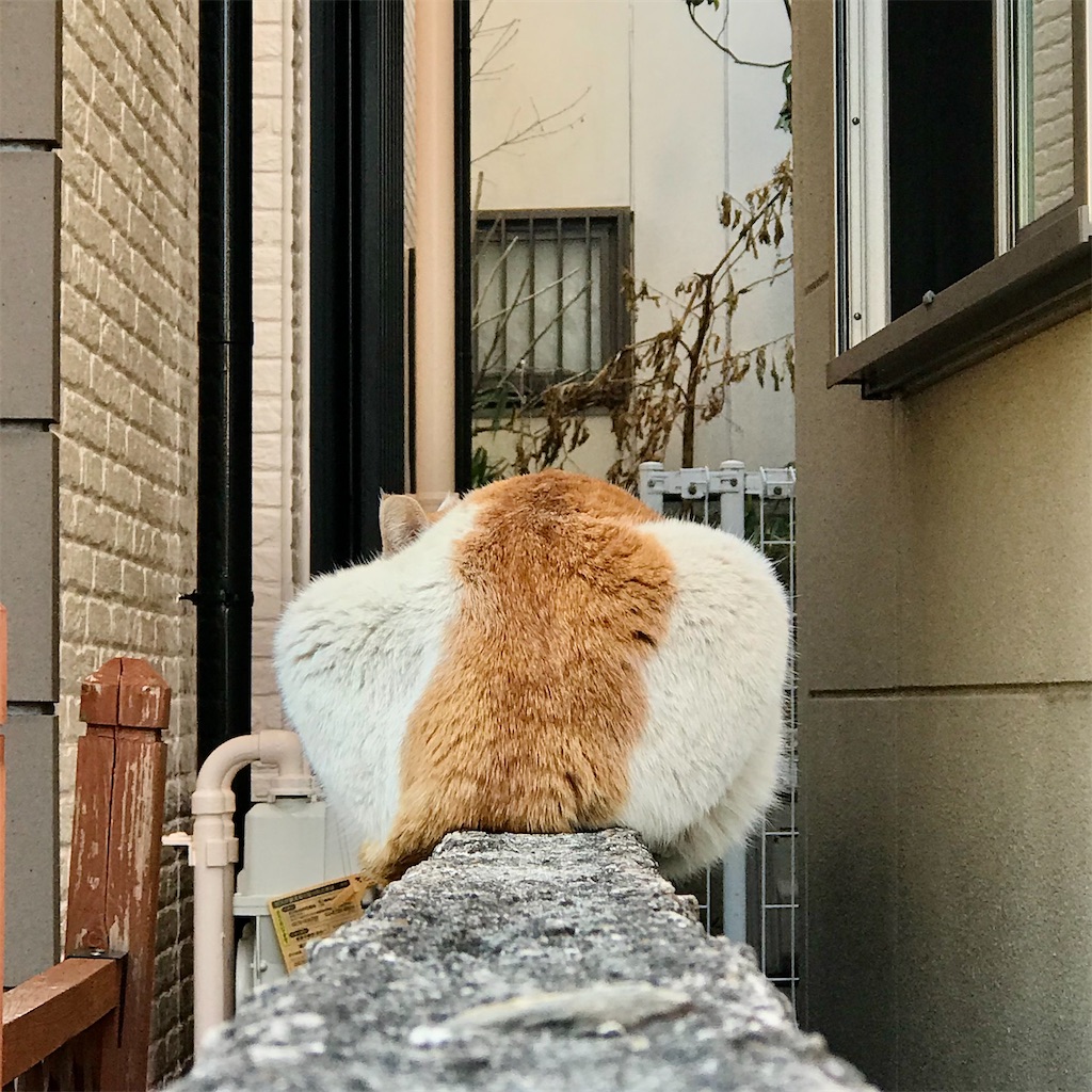 f:id:a24figaro:20220102184009j:image