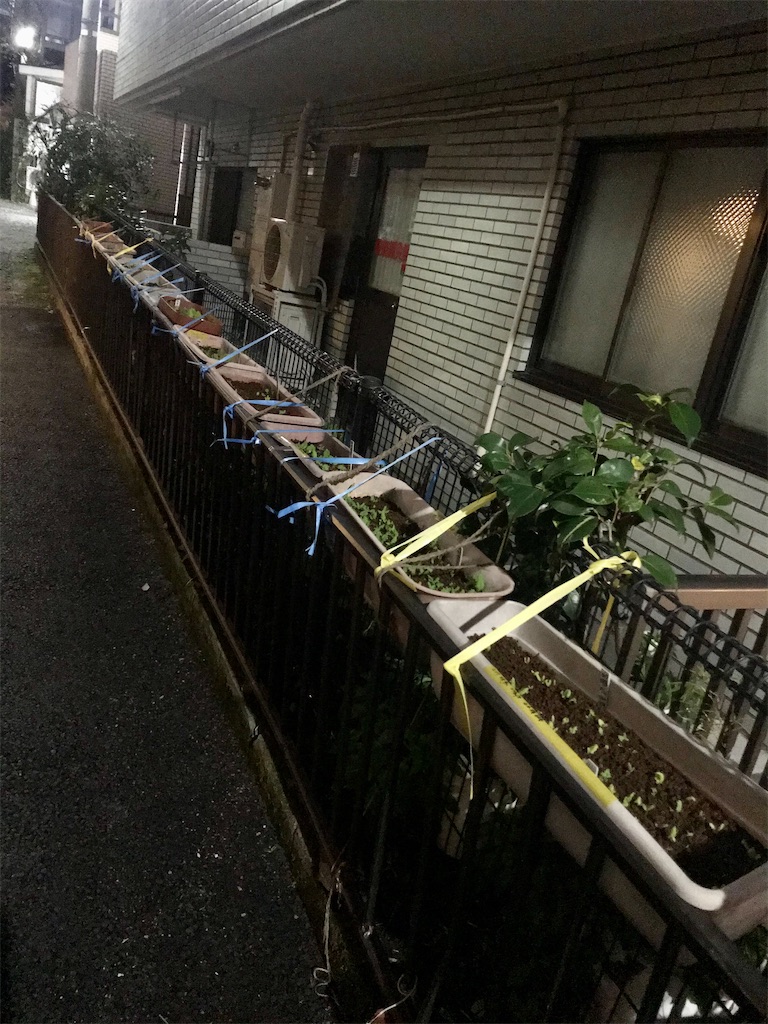 f:id:a24figaro:20220328143910j:image f:id:a24figaro:20220328143910j:image