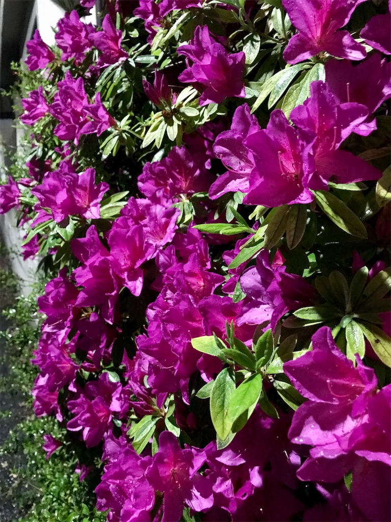 f:id:a24figaro:20220427131550j:image