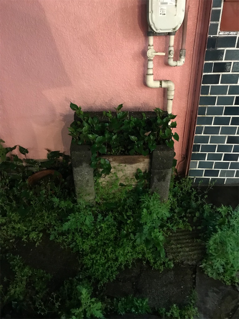 f:id:a24figaro:20220427131602j:image