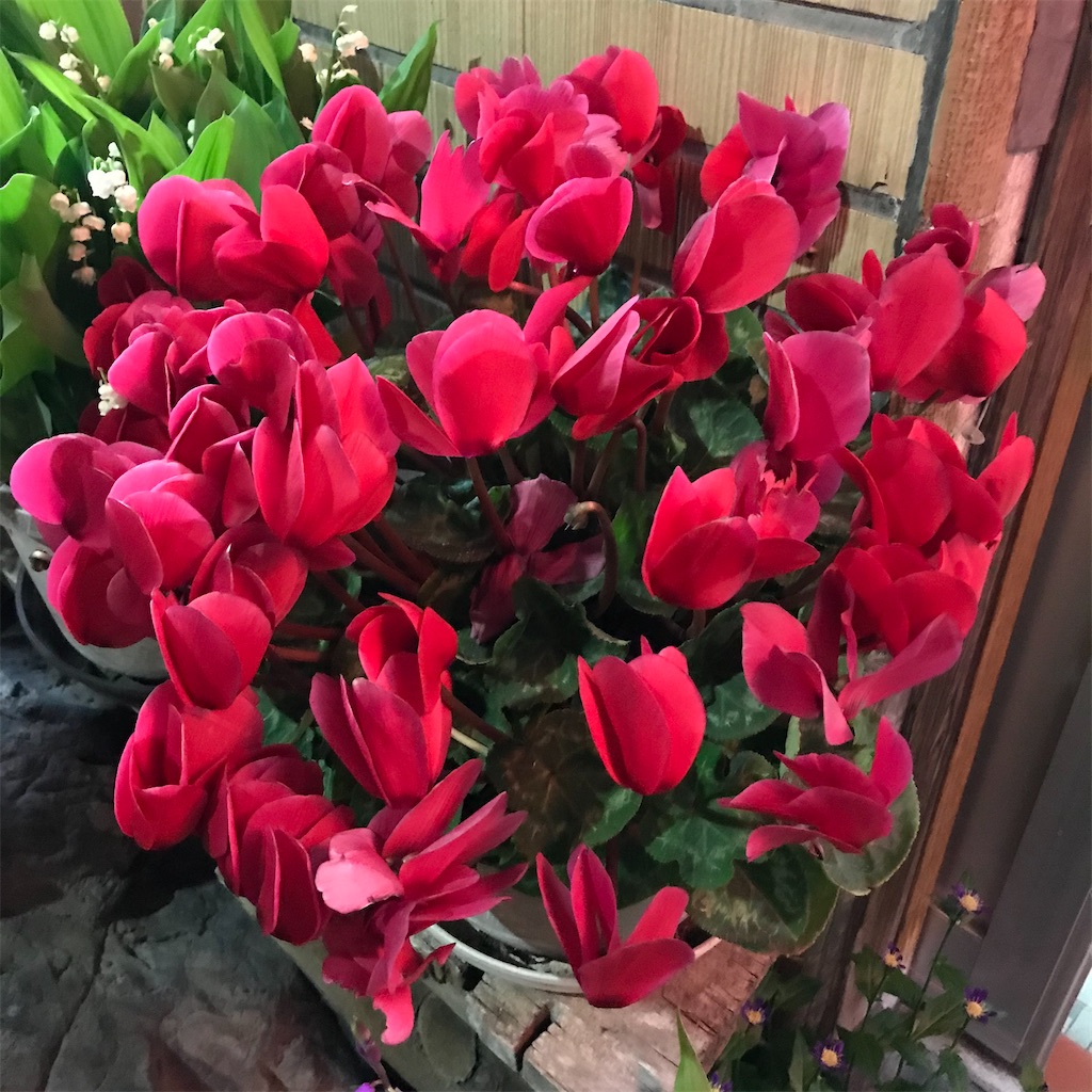 f:id:a24figaro:20220502122344j:image