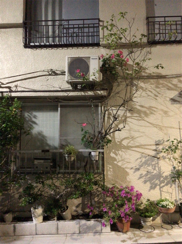 f:id:a24figaro:20220516195256j:image