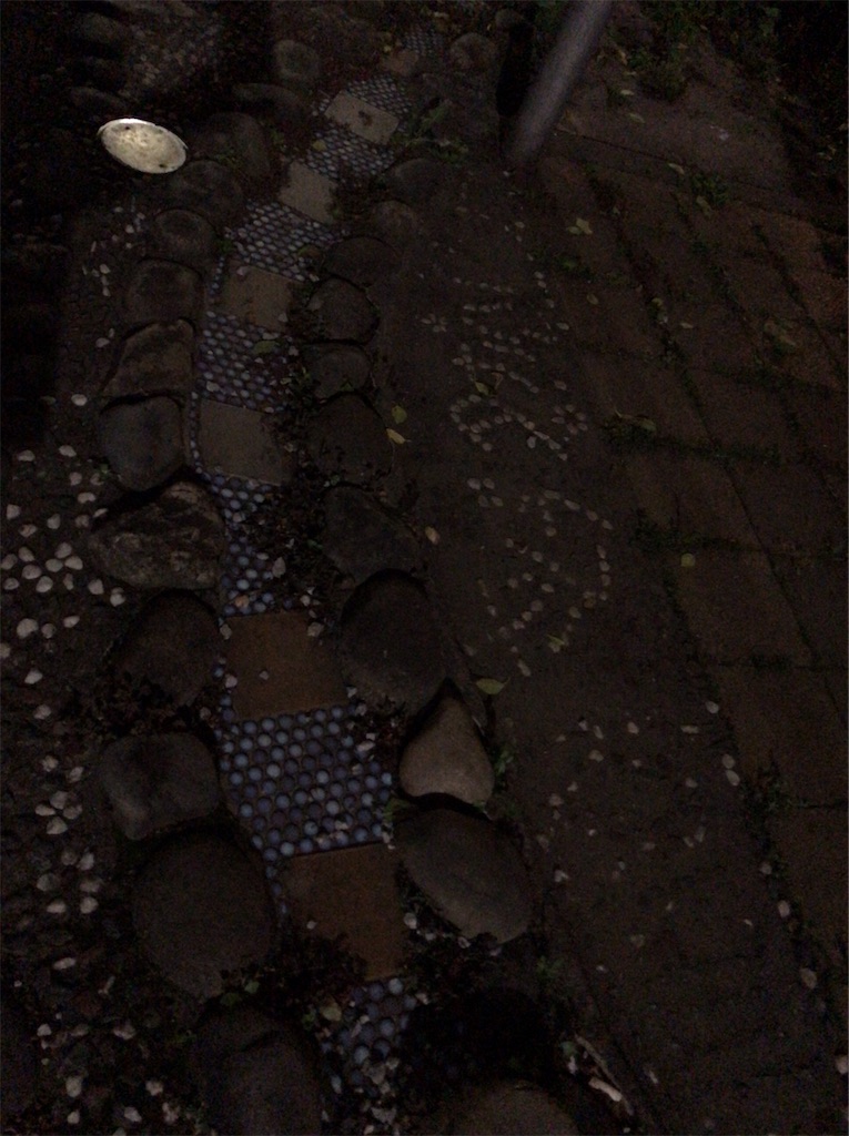 f:id:a24figaro:20220524100117j:image