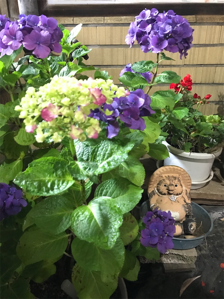f:id:a24figaro:20220616095225j:image f:id:a24figaro:20220616095225j:image