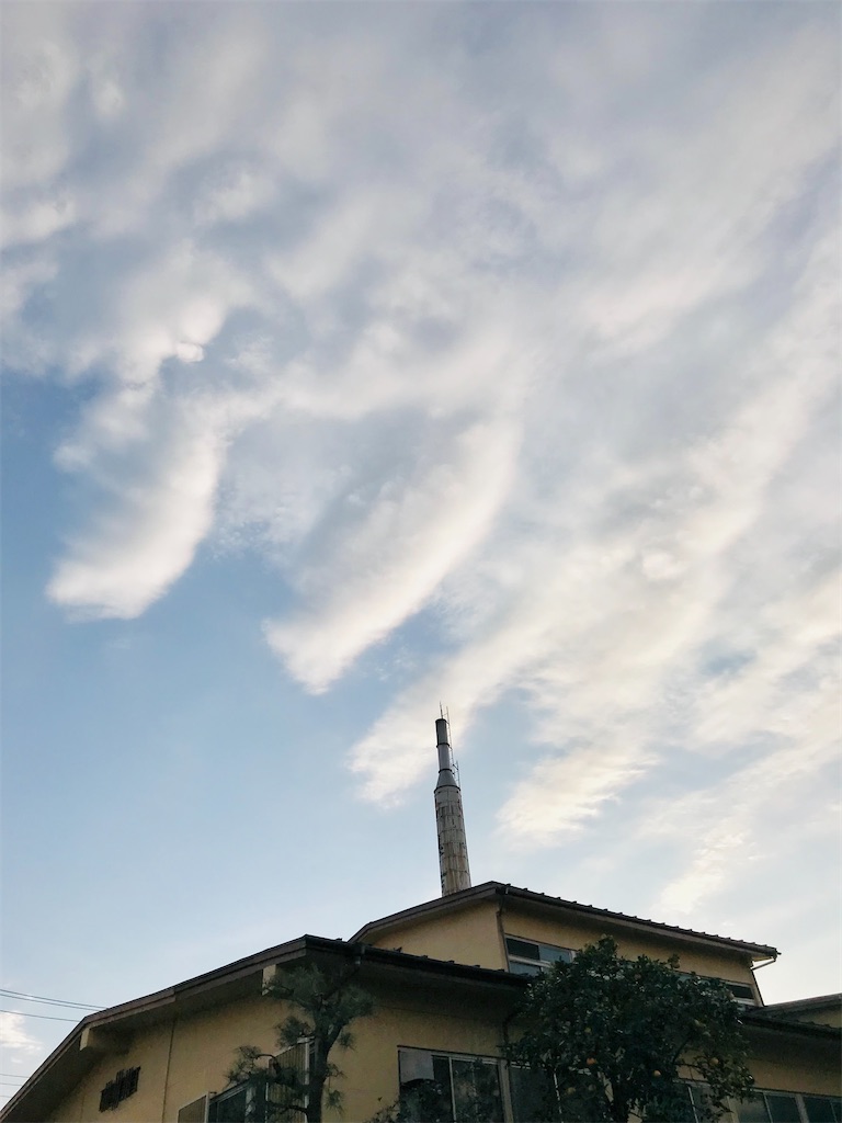 f:id:a24figaro:20230124004728j:image f:id:a24figaro:20230124004728j:image