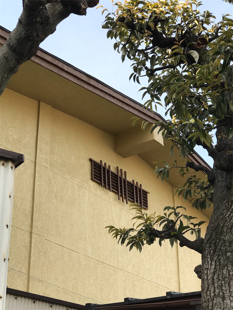 f:id:a24figaro:20230124004802j:image f:id:a24figaro:20230124004802j:image