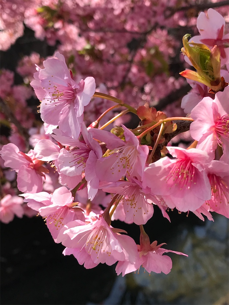 f:id:a24figaro:20230317233324j:image
