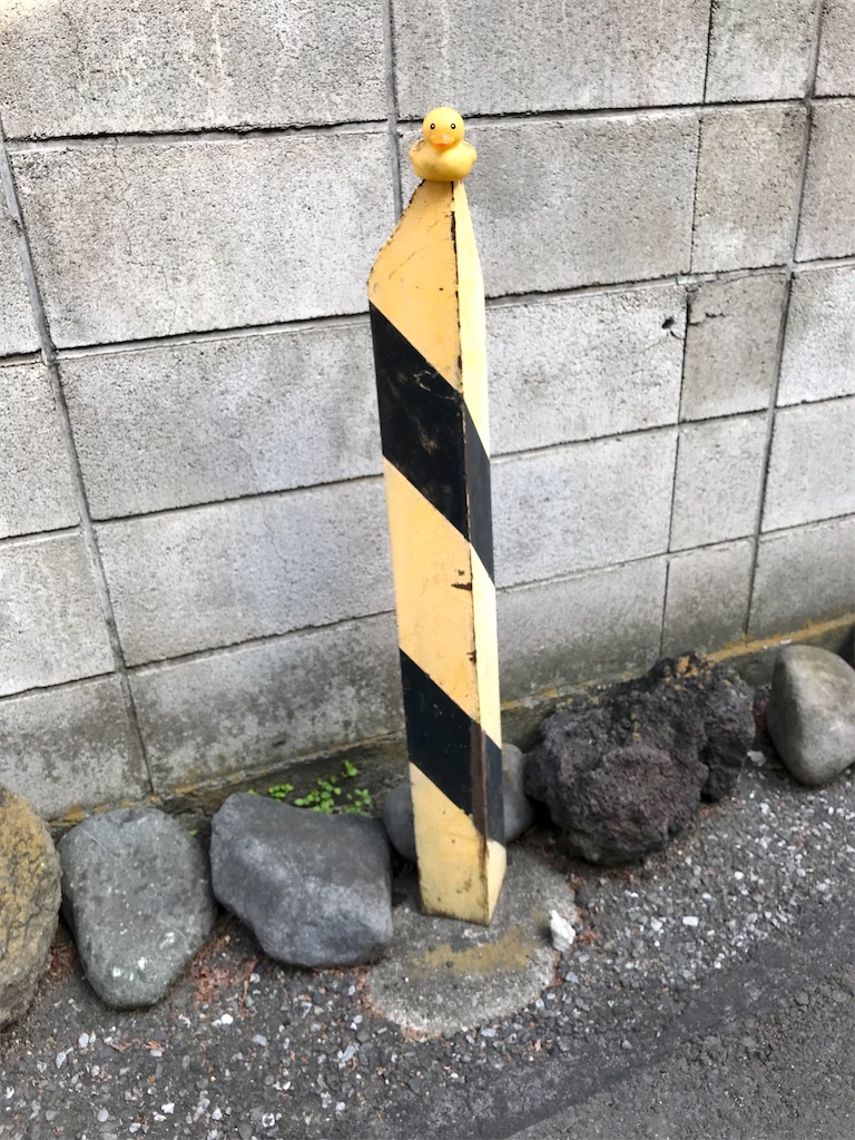 f:id:a24figaro:20230317233346j:image