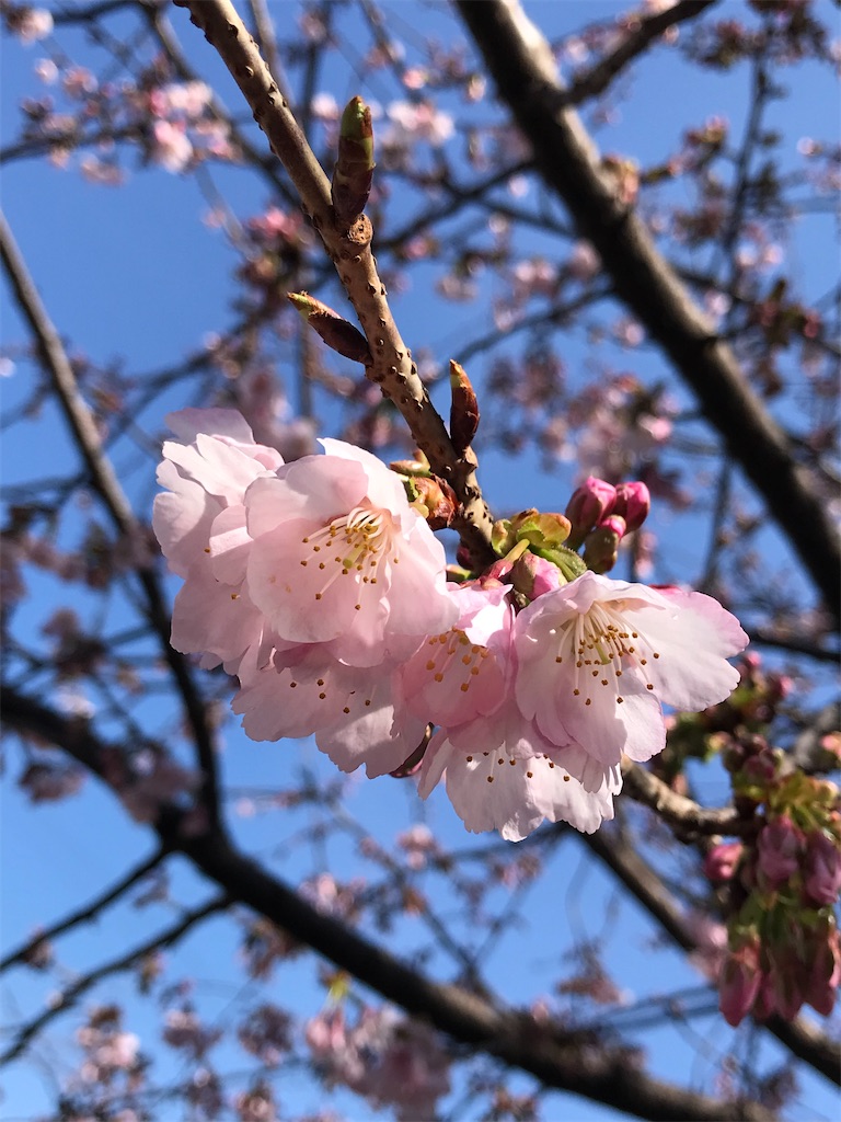 f:id:a24figaro:20230317233407j:image
