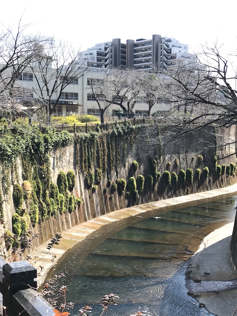 f:id:a24figaro:20230317233410j:image