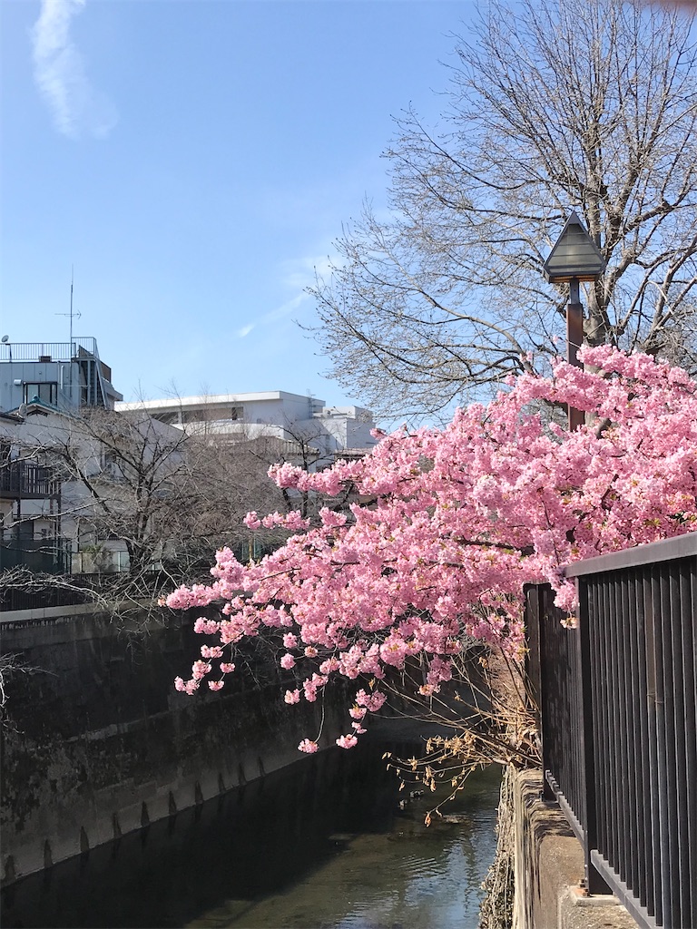 f:id:a24figaro:20230317233424j:image