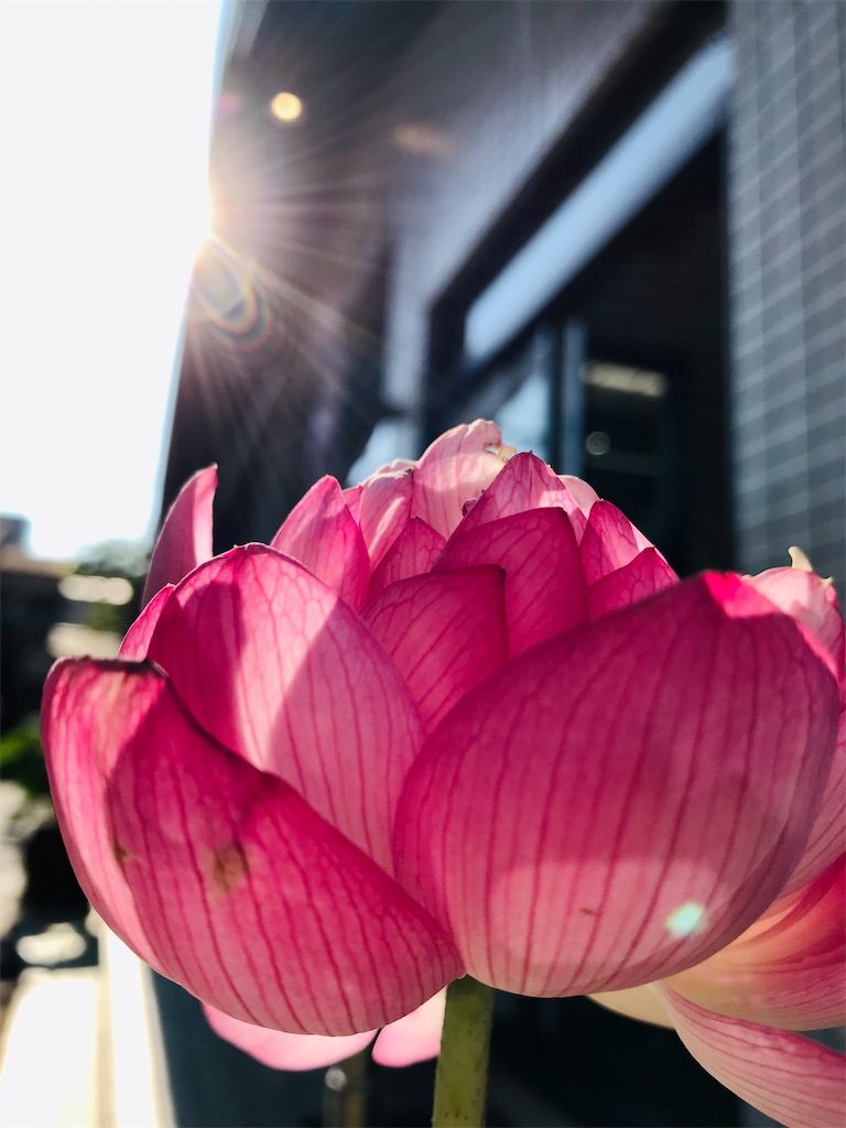 f:id:a24figaro:20230820201840j:image