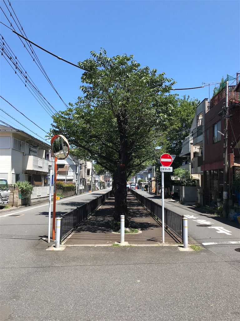 f:id:a24figaro:20230820201926j:image