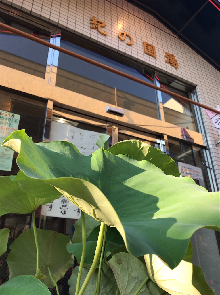 f:id:a24figaro:20230820202616j:image