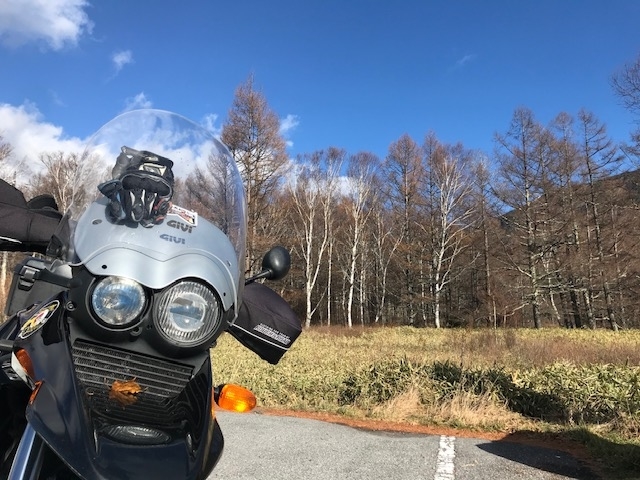 f:id:a2hiragan:20191113172642j:plain f:id:a2hiragan:20191113172642j:plain