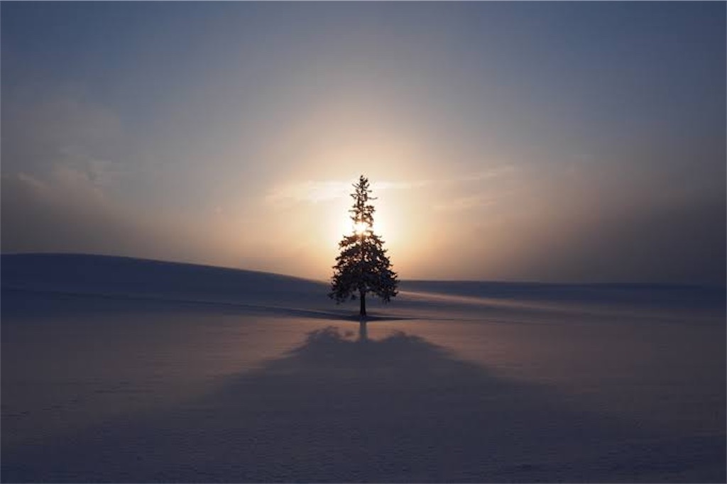 f:id:a2si12225:20190506171841j:image