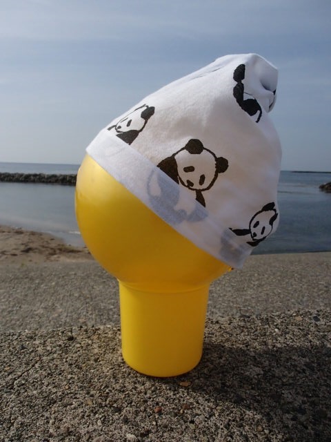 f:id:a31017:20160509155608j:plain