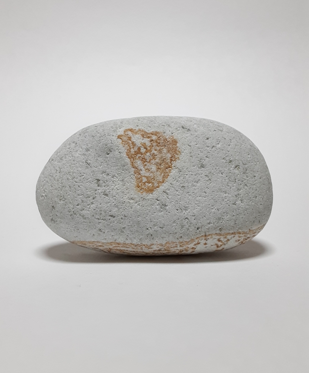 f:id:a31017:20200418172836j:plain