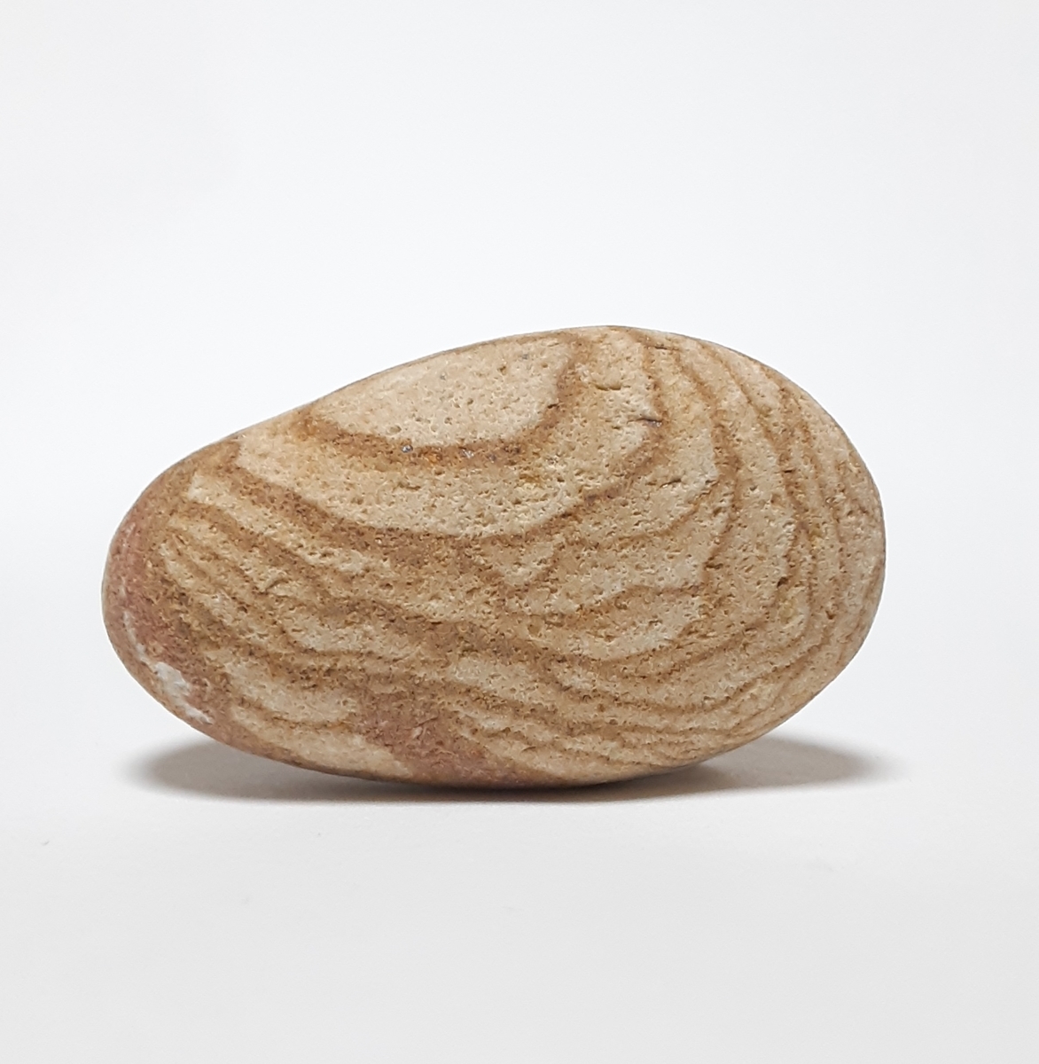 f:id:a31017:20200503160414j:plain