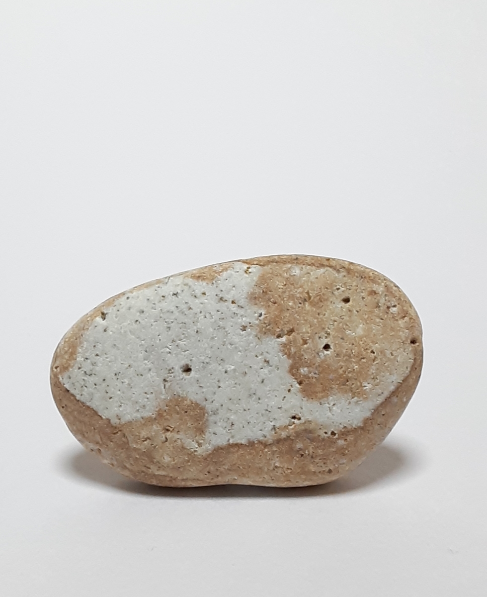 f:id:a31017:20200602002301j:plain