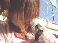 f:id:a33com:20050315232853:image