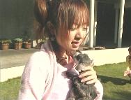 f:id:a33com:20050316003122:image