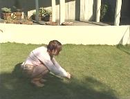 f:id:a33com:20050316004216:image