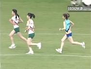 f:id:a33com:20050317225718:image