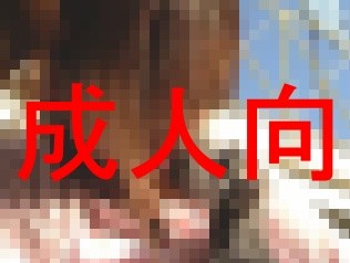 f:id:a33com:20050624012940:image