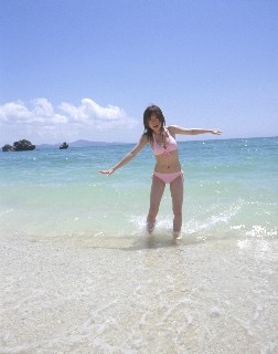 f:id:a33com:20060611114730j:image f:id:a33com:20060611114730j:image