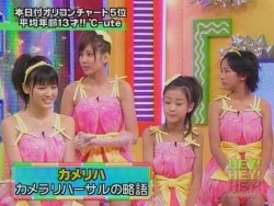 f:id:a33com:20070306021413j:image