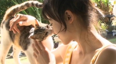 f:id:a33com:20090419172959j:image f:id:a33com:20090419172959j:image